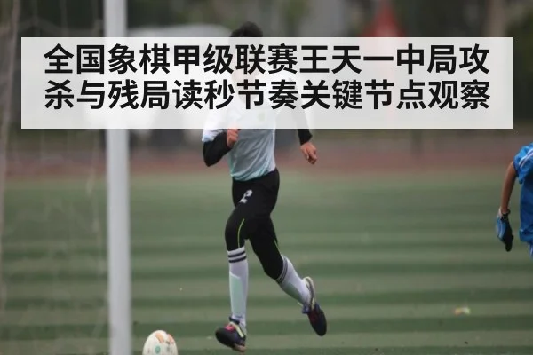 全国象棋甲级联赛王天一中局攻杀与残局读秒节奏关键节点观察